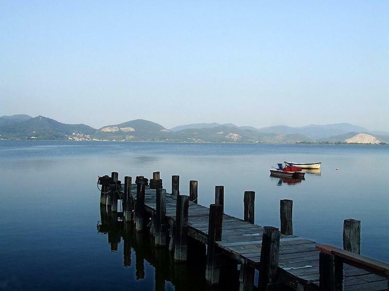 Melon'S House Villa Torre del Lago Puccini Exterior foto